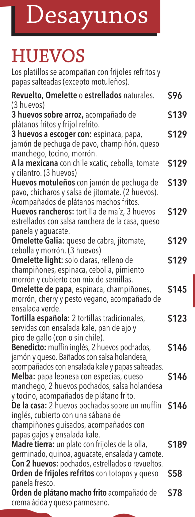 Captura de pantalla 2025-01-11 a la(s) 11.19.38