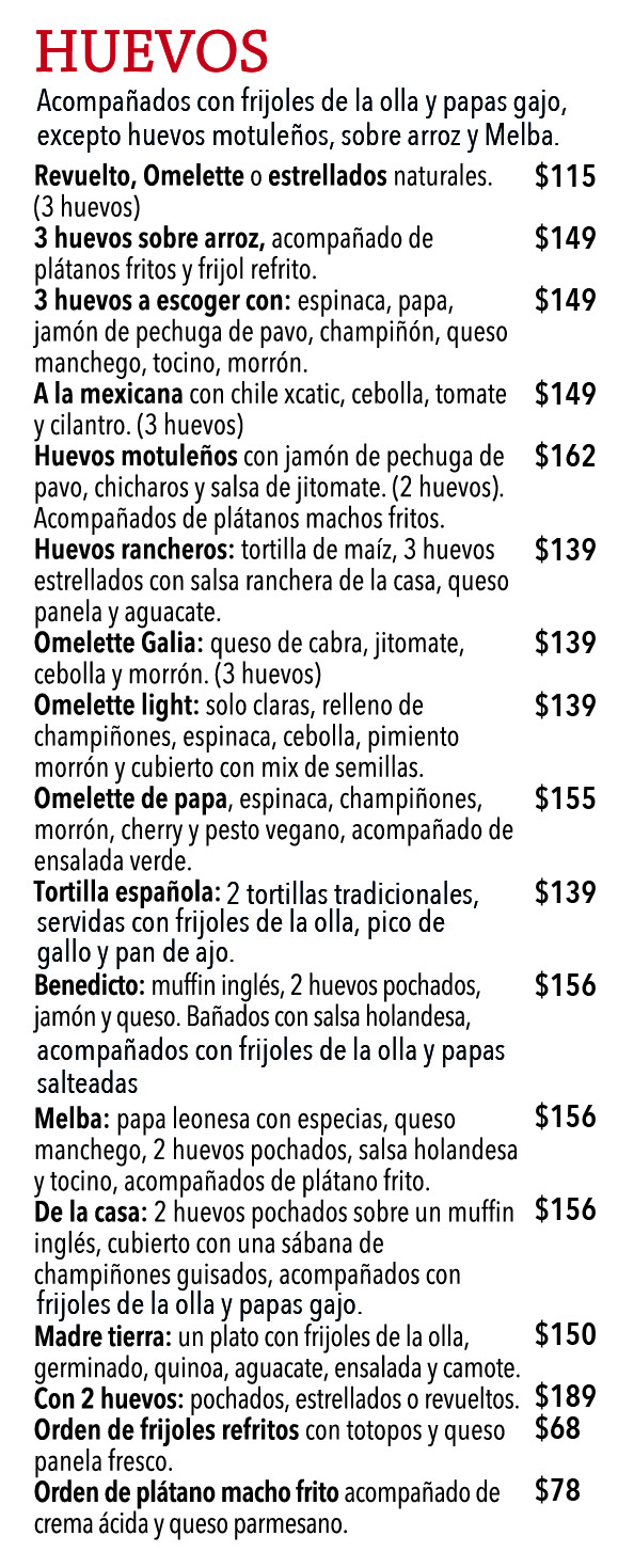 BajoCafe-5a_2026_ES-05